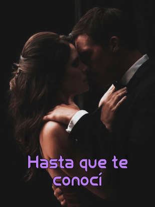 Hasta que te conocí