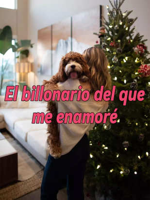 El billonario del que me enamoré