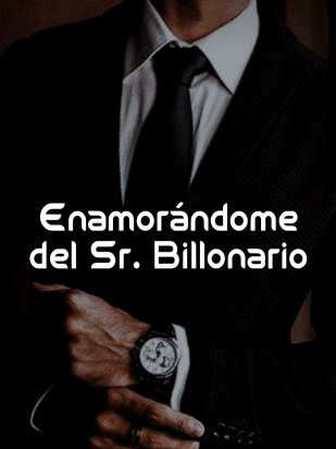 Enamorándome del Sr. Billonario