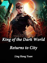 The Dark King  Light Novel World