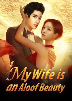 My Wife Is An Aloof Beauty Novel Full Book Novel Pdf Free Download