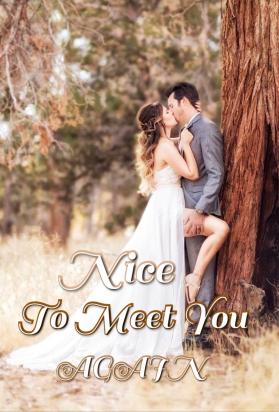 Nice To Meet You Again