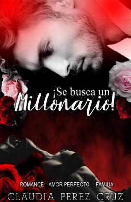 ¡Se busca un millonario!