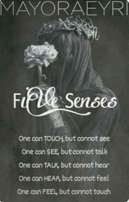 Five Senses