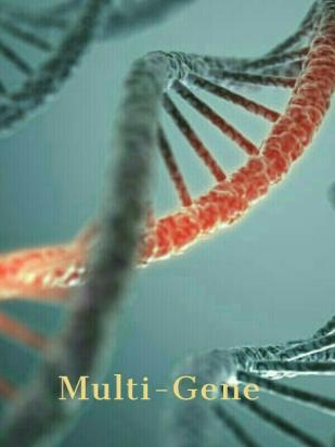 Multi Gene