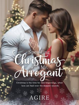 Spending Christmas with Mr. Arrogant