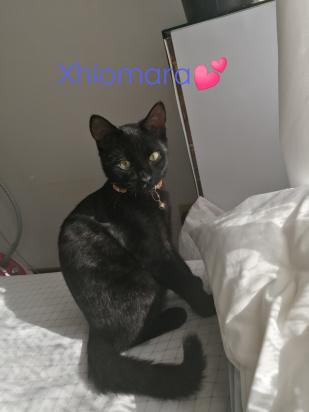 Xiomara