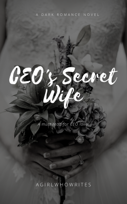 Ceo's Secret Wife- Alisha
