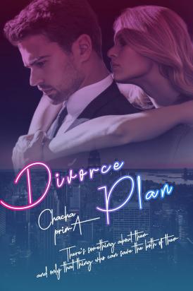 DIVORCE PLAN